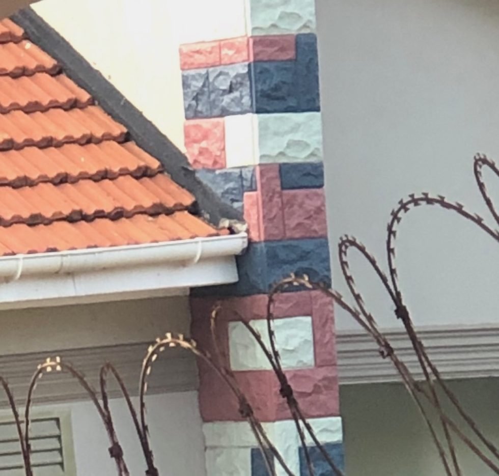 iConic Concrete Riven Cladding -With Colour SKU097 - iConic Concrete Group